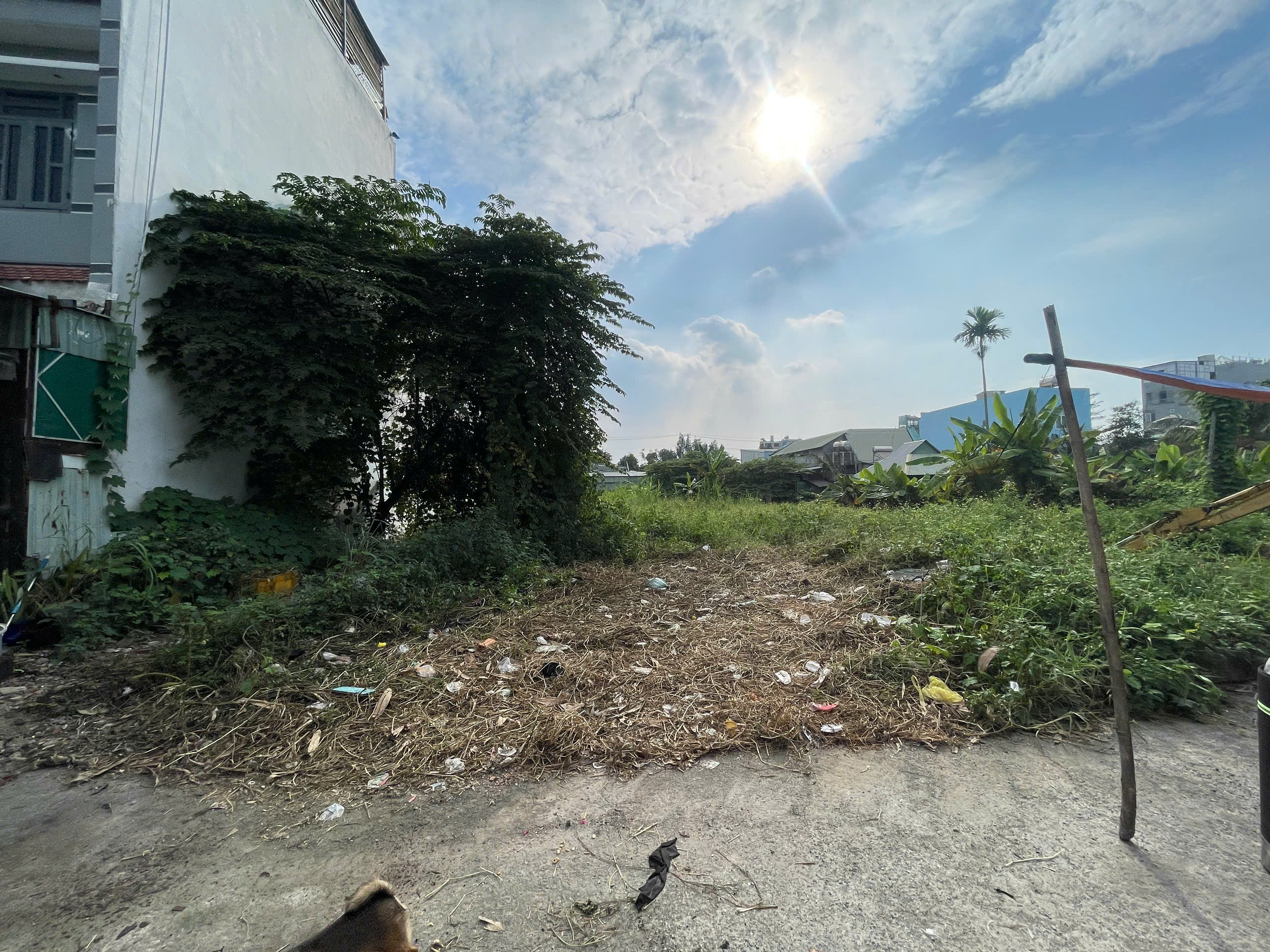 Chính chủ bán lô đất biệt thự diện tích khủng 498m2 gần 500m2 - TL47, Thạnh Lộc, Q12