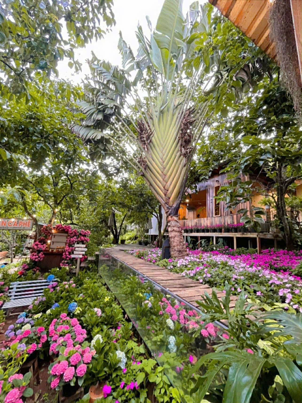 Cho thuê Villa sân vườn 700m2 đèo Prenn Đà Lạt giá thuê 26 triệu