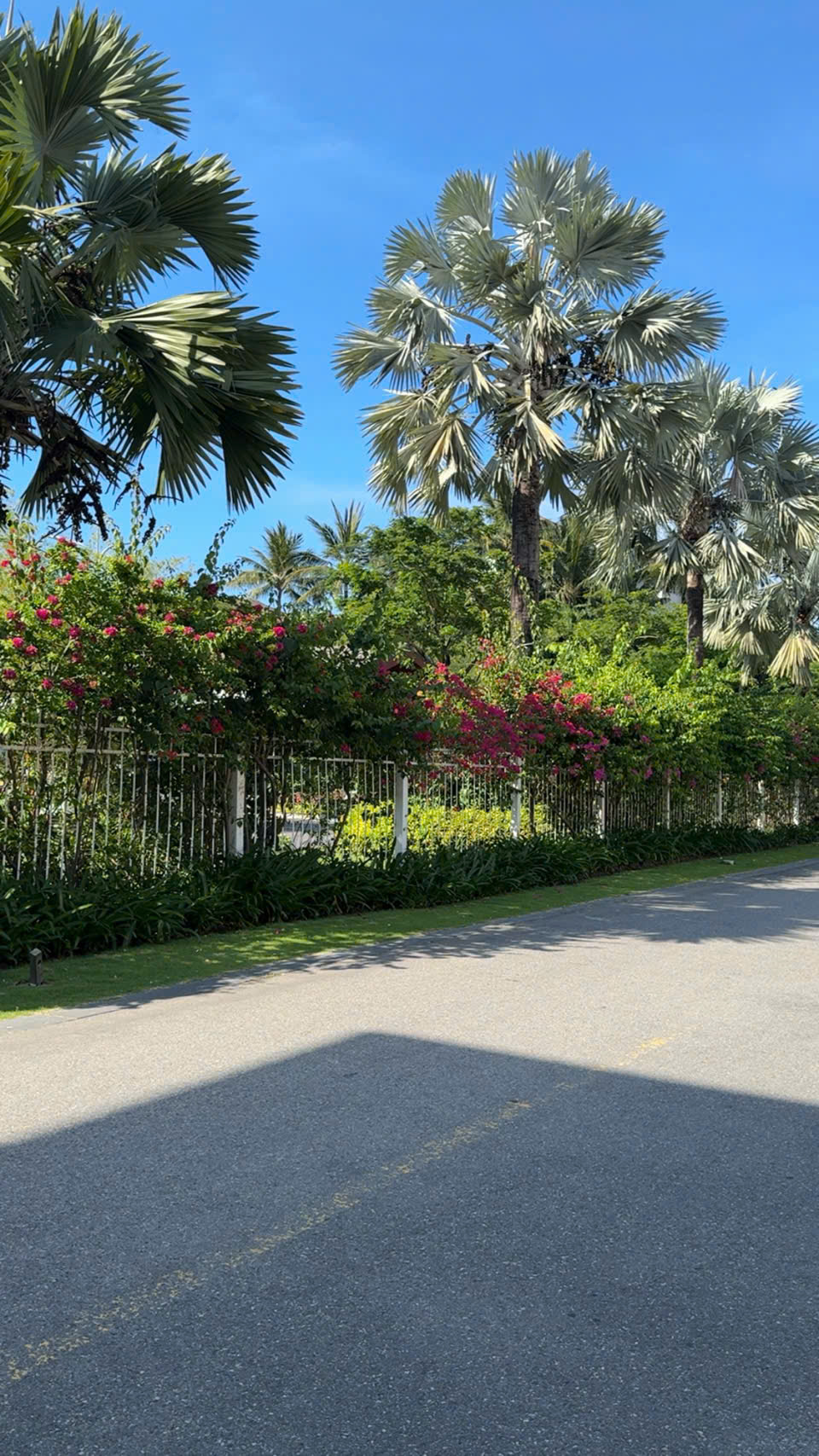 💎 TUYỆT PHẨM NHÀ PHỐ BIỂN ĐÀ NẴNG - MẶT TIỀN TÂN LƯU - NGANG 6M BỀ THẾ - FULL NỘI THẤT GỖ CAO CẤP